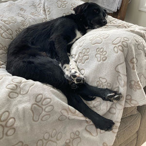 Meet your Posher, Sam